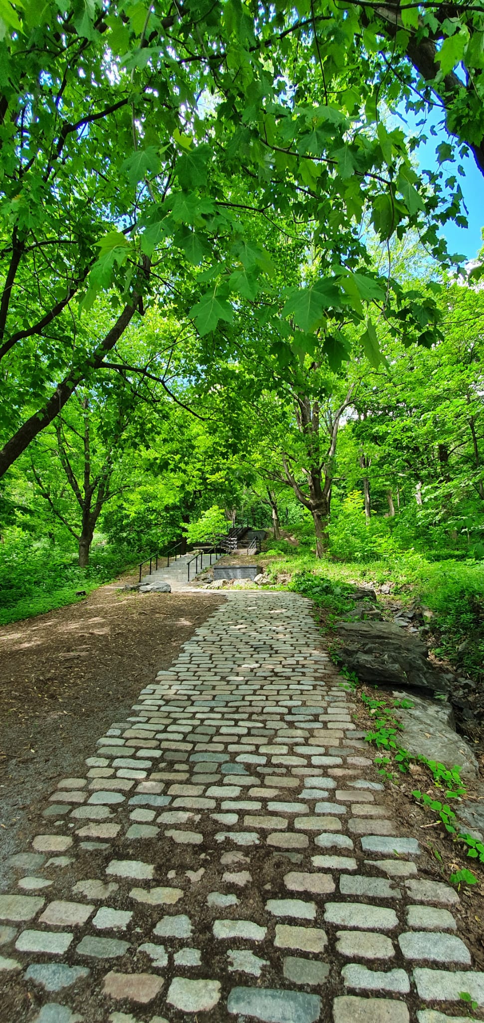 Mont Royal