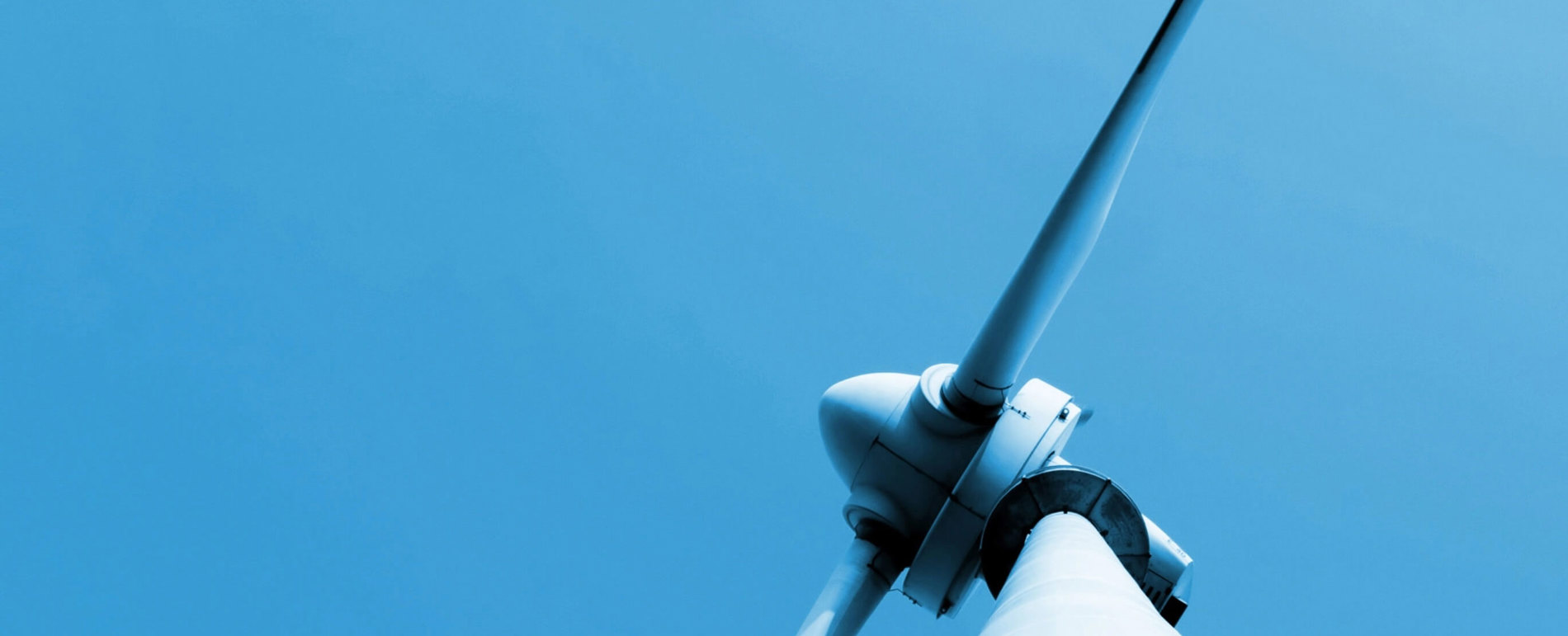 PROJECT SERVICES